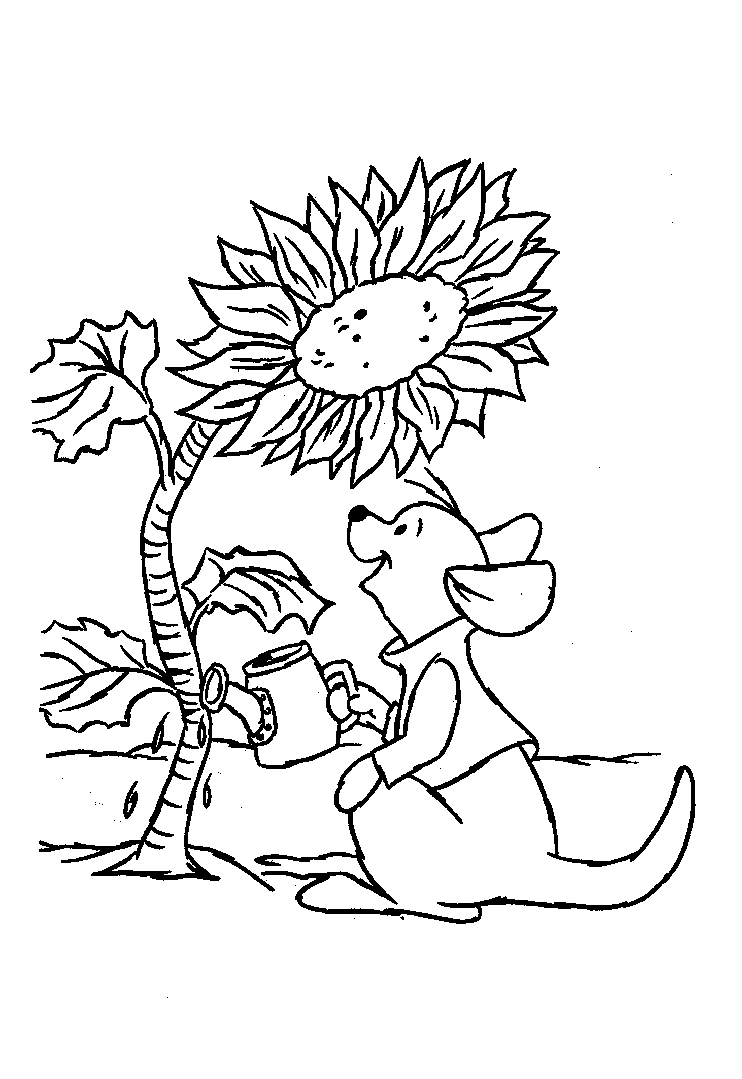 Image14.gif (46393 bytes)