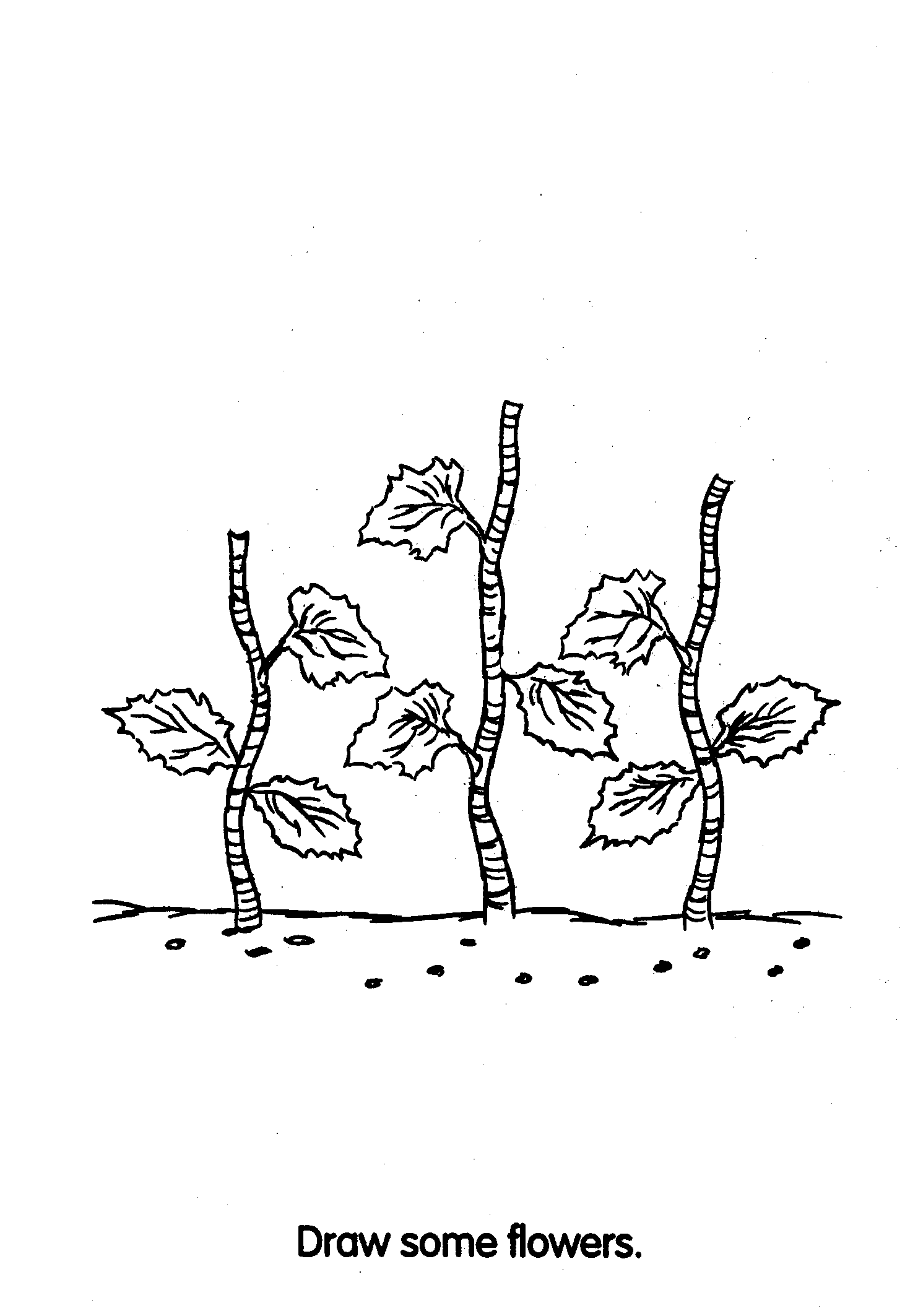 Image15.gif (29696 bytes)