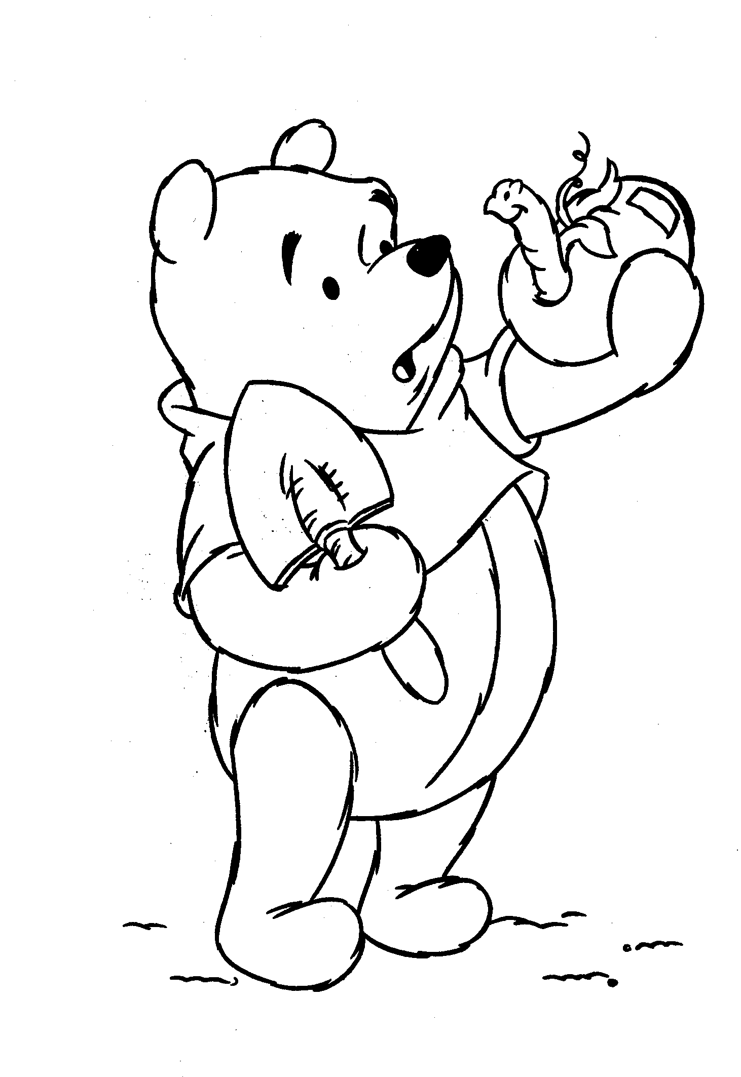 Image16.gif (36298 bytes)