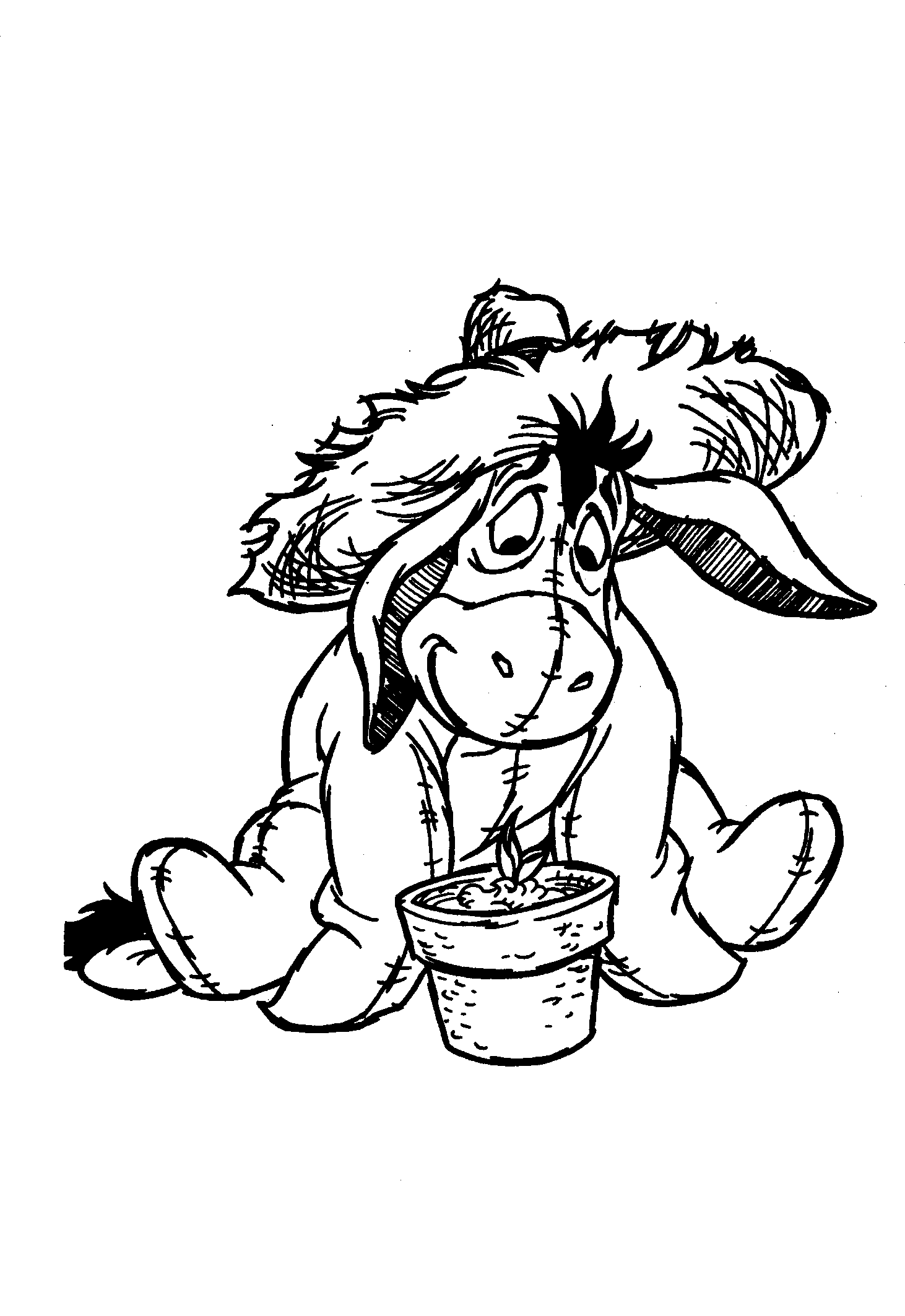 Image19.gif (42317 bytes)