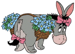 easyeeor[1].jpg (19141 bytes)