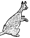 kanga.gif (1520 bytes)