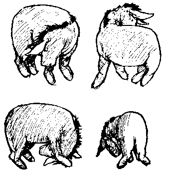 poohpose[1].gif (7179 bytes)